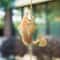 Glitzhome® 8.5ft. Faux Copper Patina Finish Fish Shaped Rain Chain